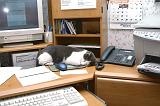 20031230_Kitty Kat_040